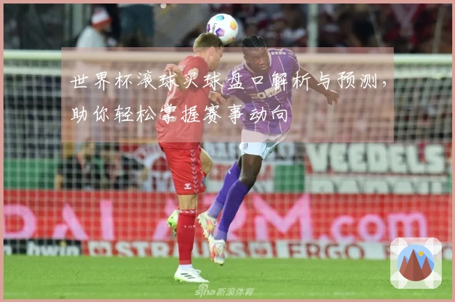 世界杯滚球买球盘口解析与预测，助你轻松掌握赛事动向