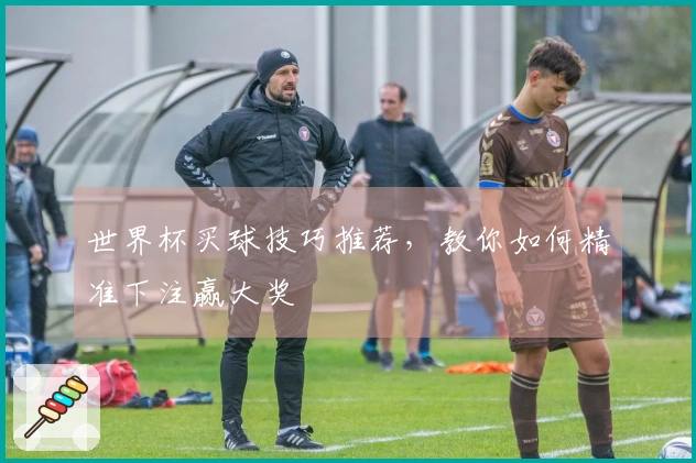 世界杯买球技巧推荐，教你如何精准下注赢大奖