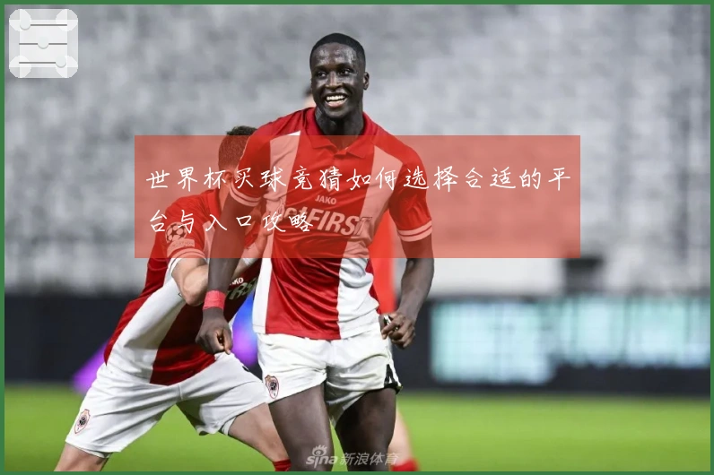 世界杯买球竞猜如何选择合适的平台与入口攻略