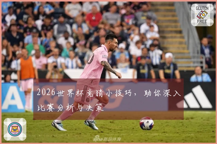 2026世界杯竞猜小技巧，助你深入比赛分析与决策