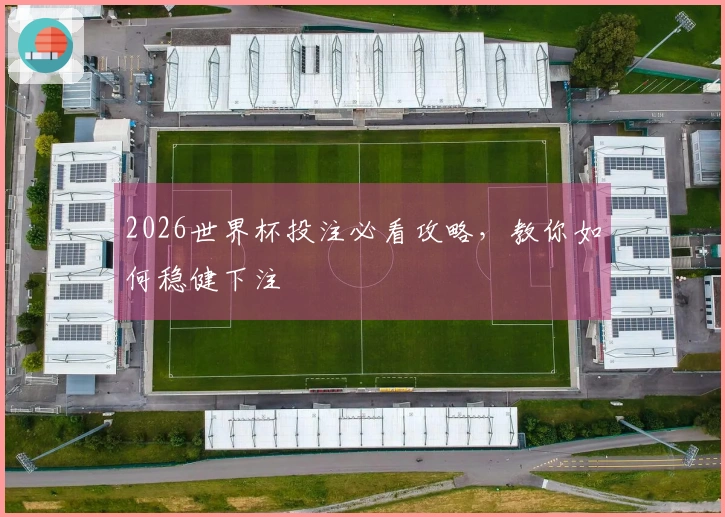 2026世界杯投注必看攻略，教你如何稳健下注