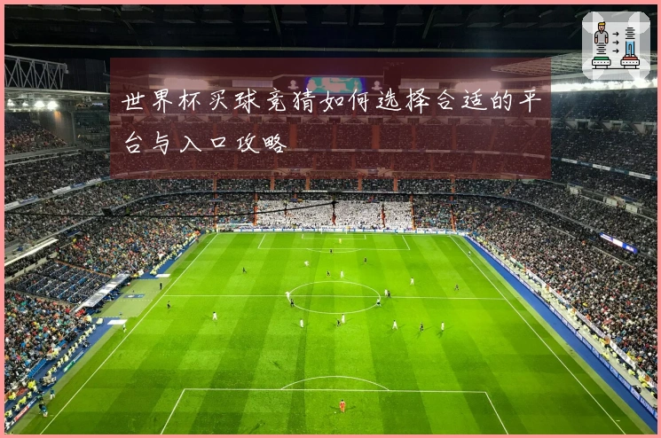 世界杯买球竞猜如何选择合适的平台与入口攻略