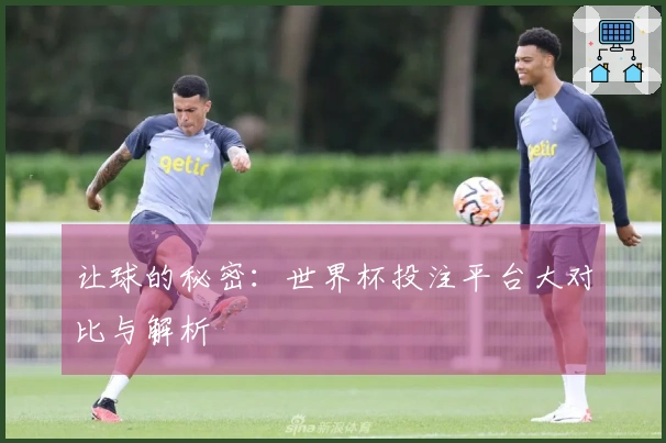 让球的秘密:世界杯投注平台大对比与解析