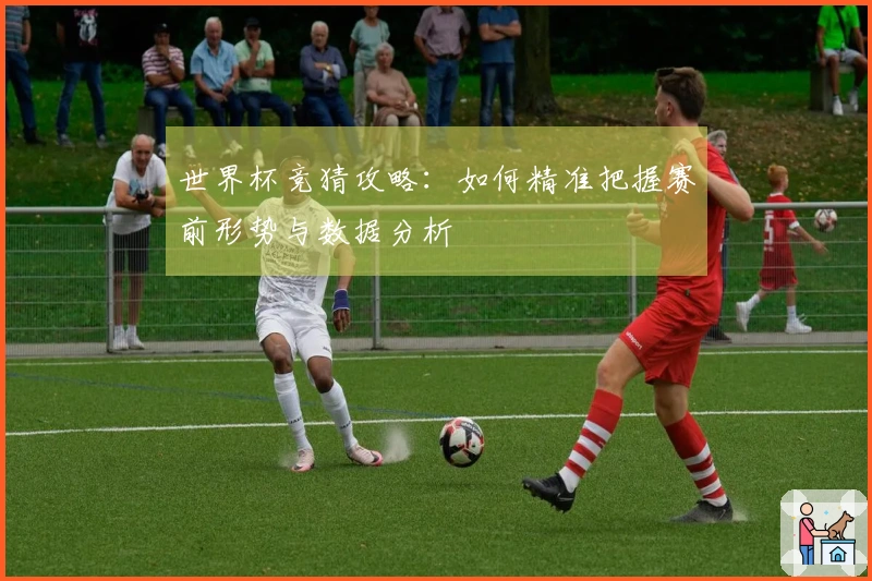 世界杯竞猜攻略：如何精准把握赛前形势与数据分析